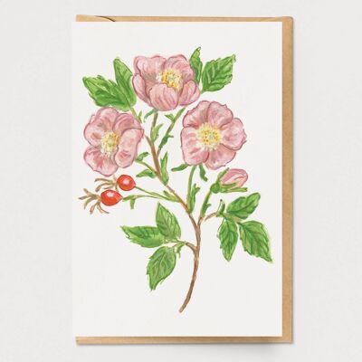 Wild Rose Card