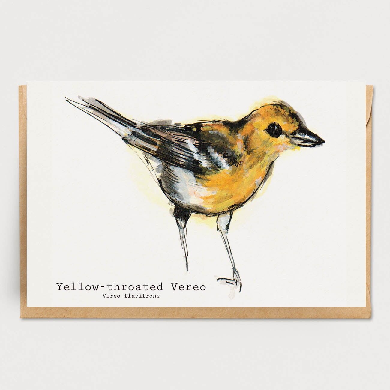 Carta Vereo dalla gola gialla