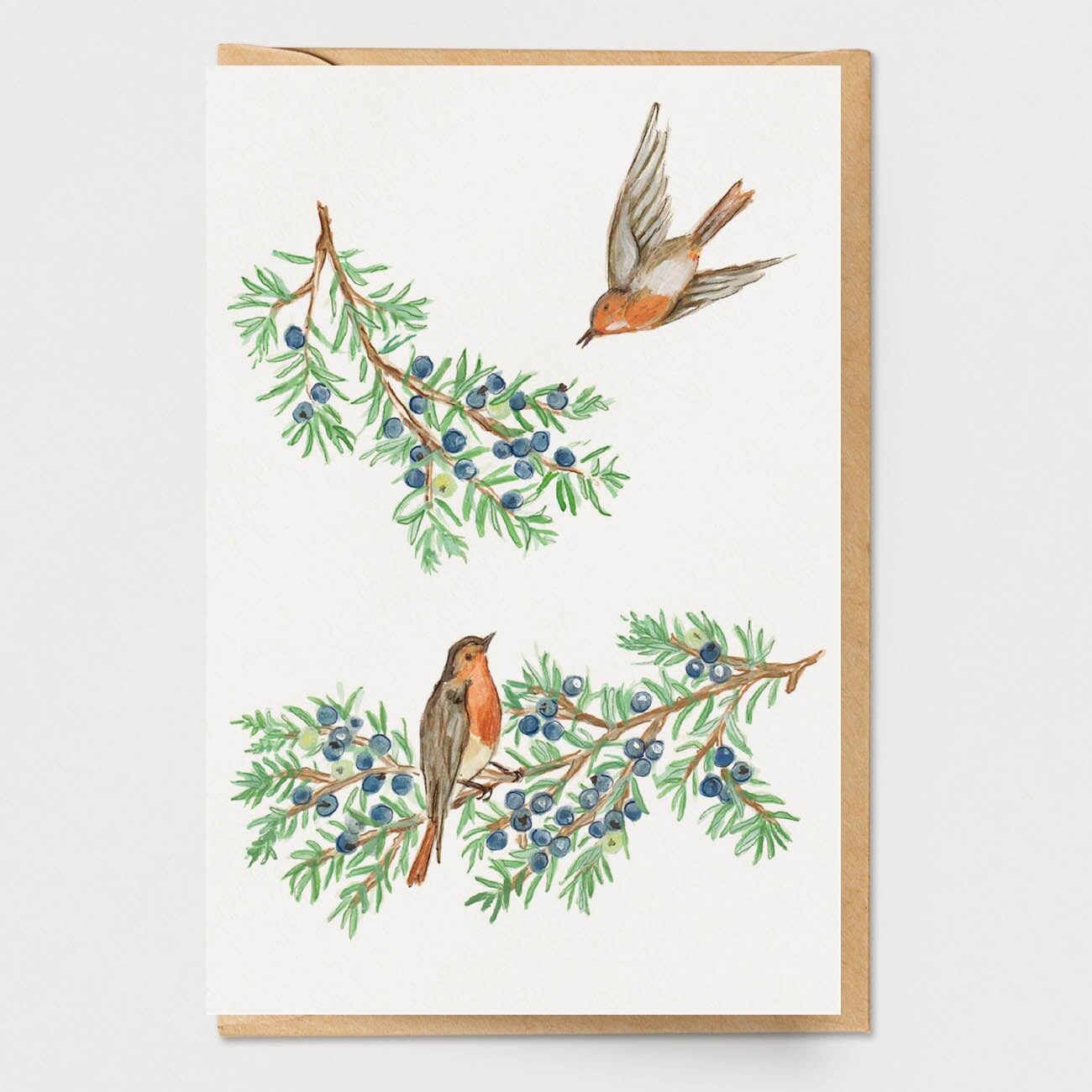Carta Uccelli Ginepro