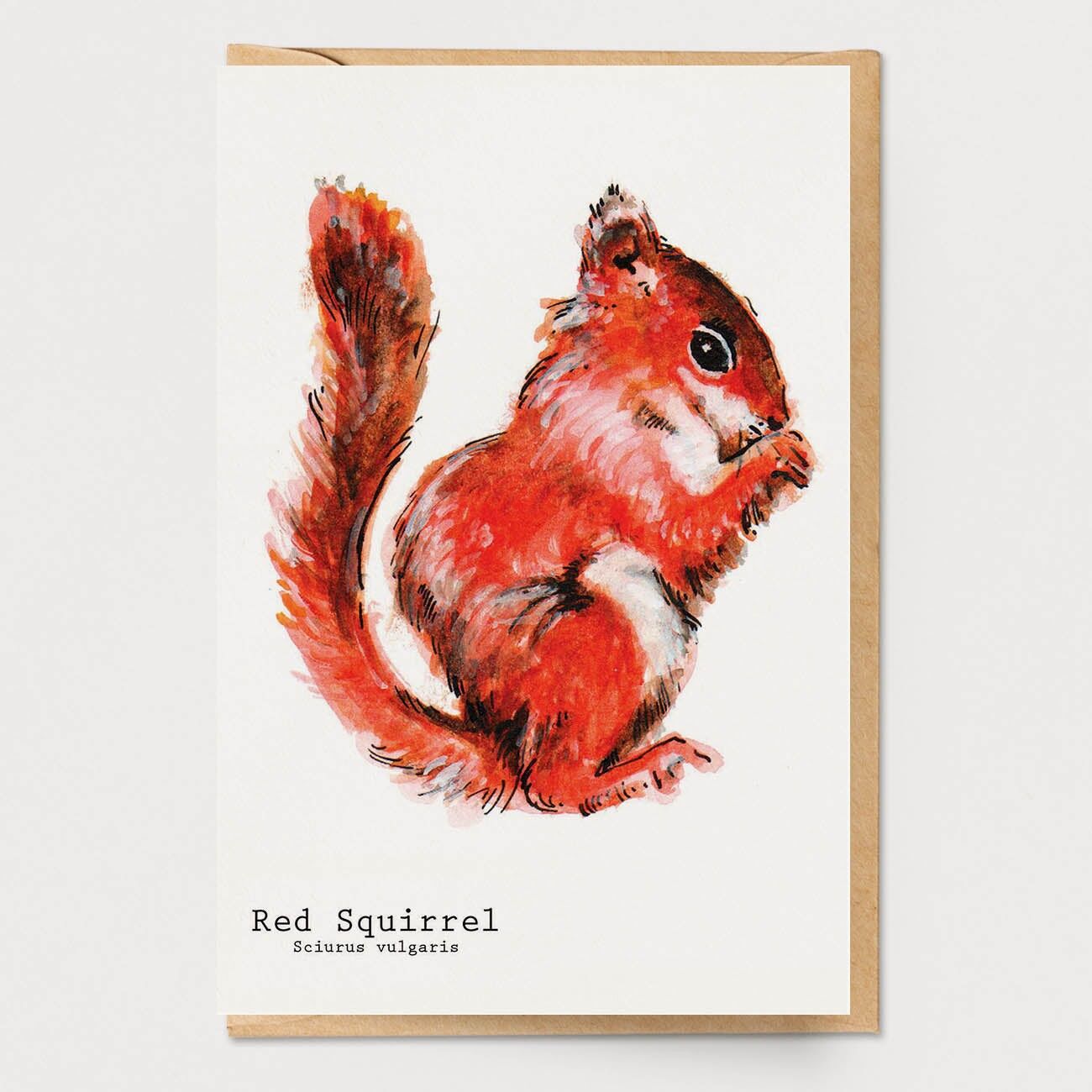 Carta scoiattolo rosso