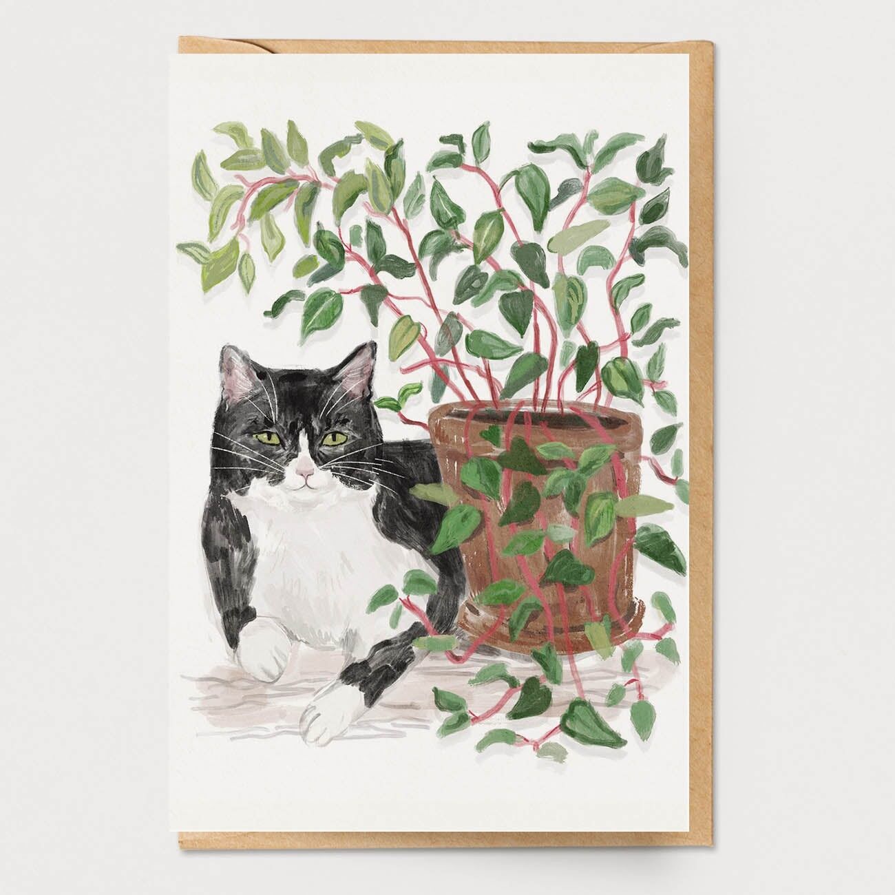 Carta Gatto Pianta da Appartamento