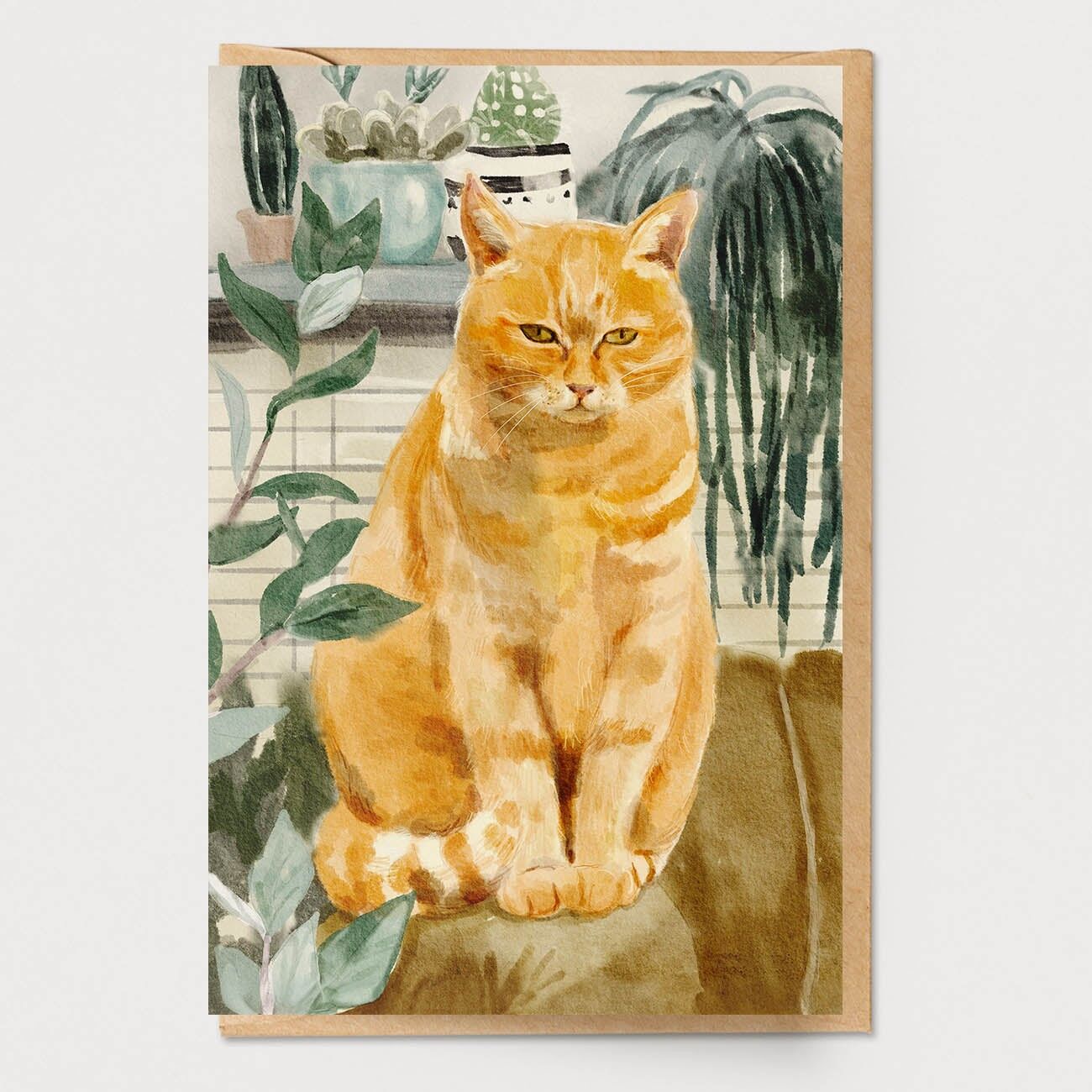 Carta gatto divano arancione