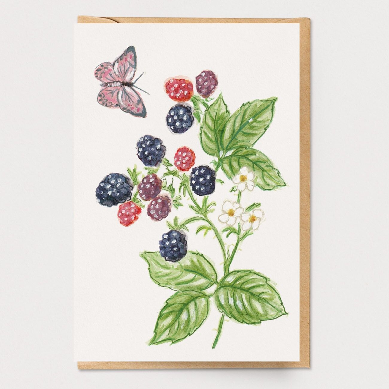 Scheda botanica della mora