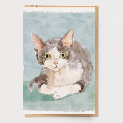 Devon Rex Cat Card