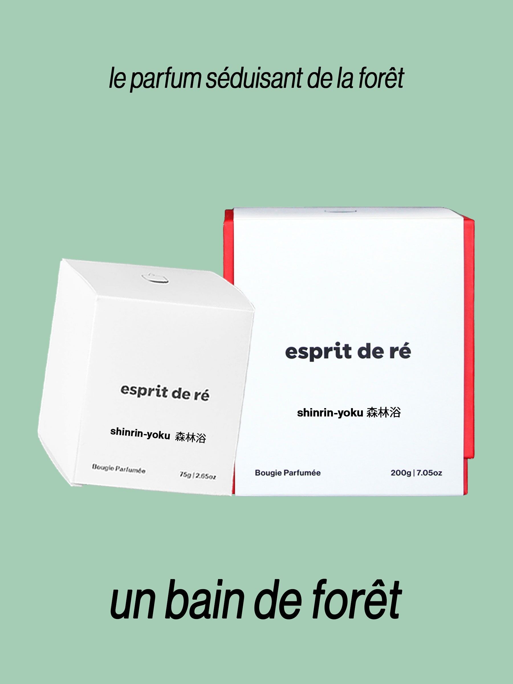 Shinrin-Yoku 森林浴 - Un Bain de Forêt