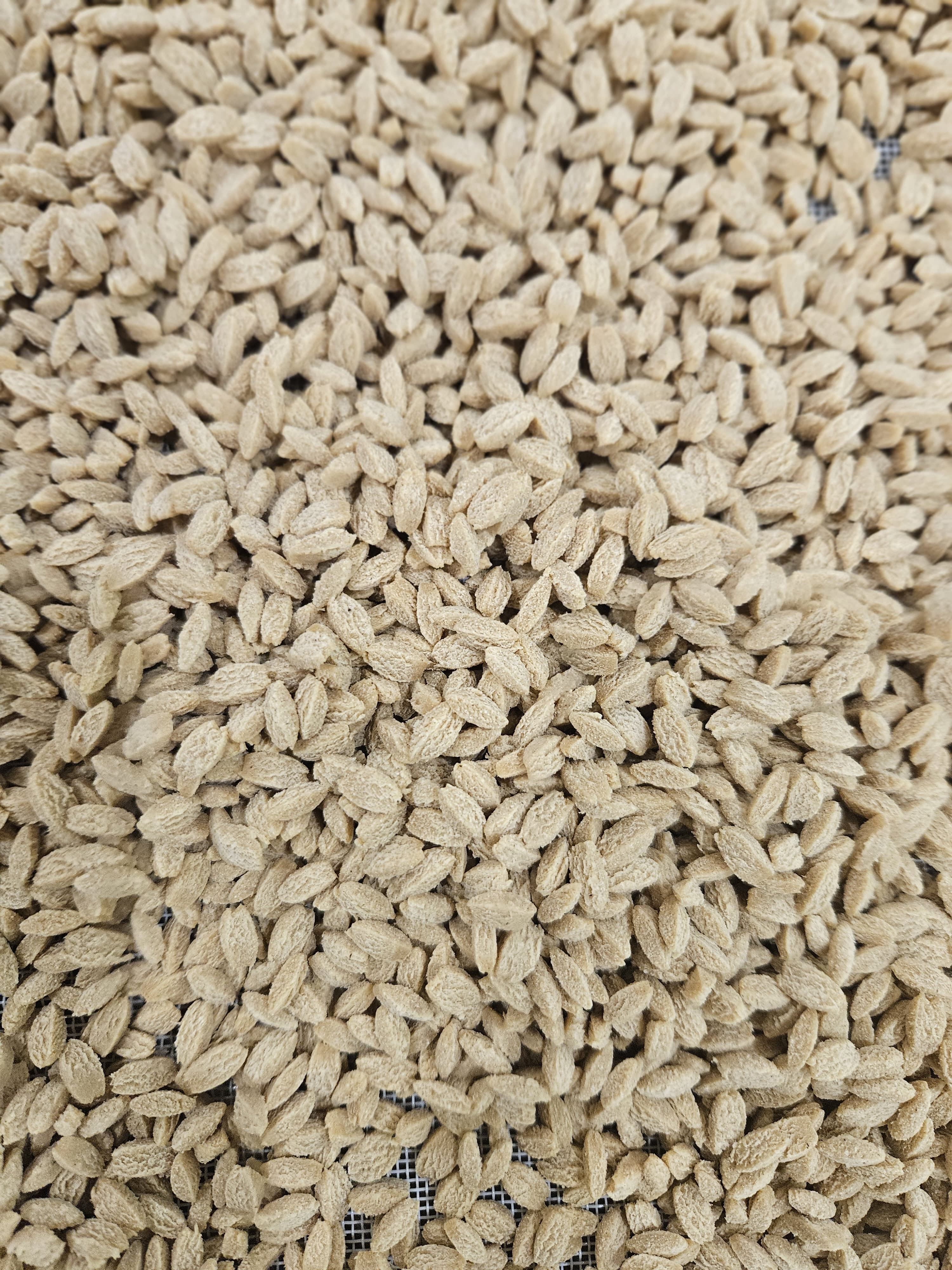 Les Risonis 5kg - Pasta artigianale del Vexin