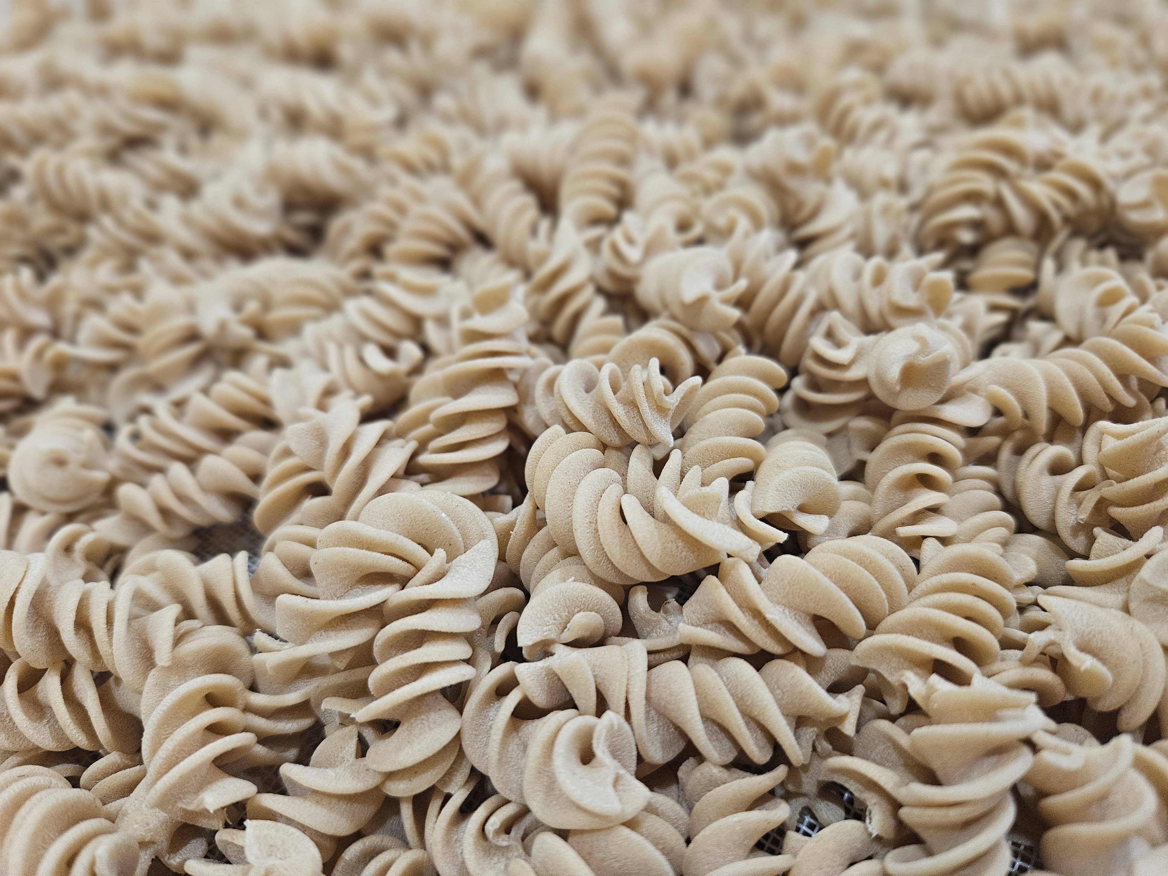 Fusilli N°241 5kg - Pasta artigianale del Vexin