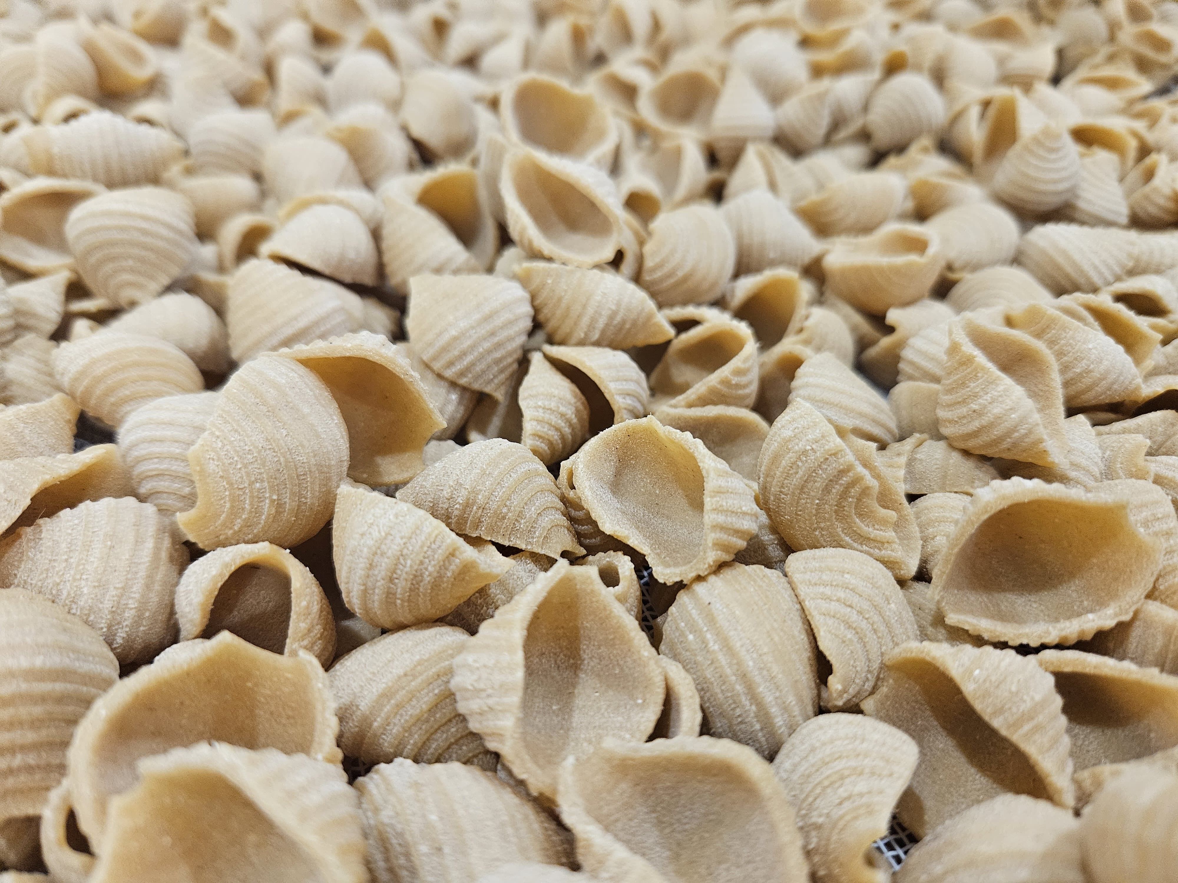 Les Conchiglies N°172 5kg - Pasta artigianale del Vexin