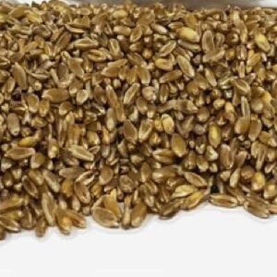 Blé tendre 1 kg
