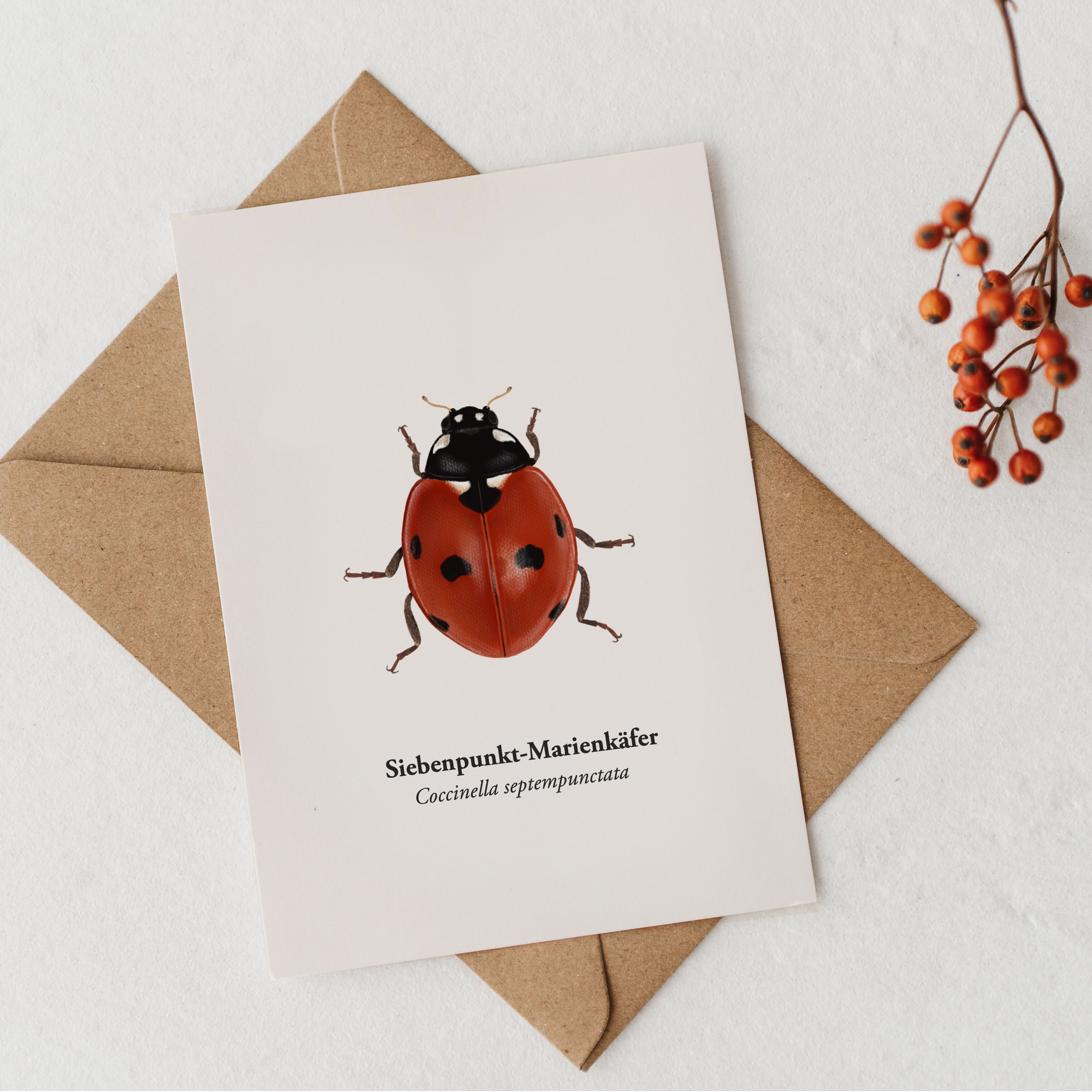 Cartolina Coccinella – Portafortuna e Illustrazione della Natura