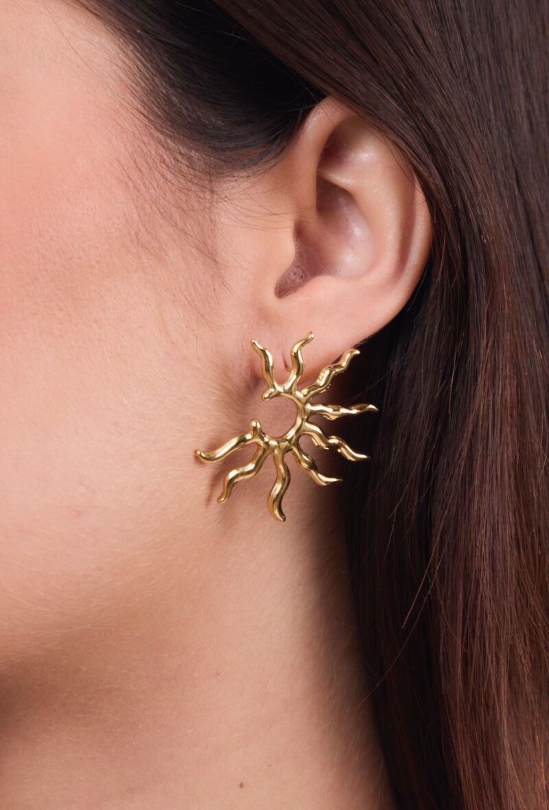 Orecchini in acciaio inossidabile 124AQ365