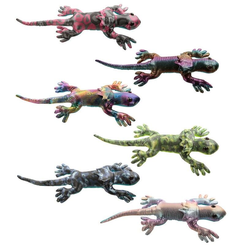 Lucertola con collo arricciato Animale sabbia grande