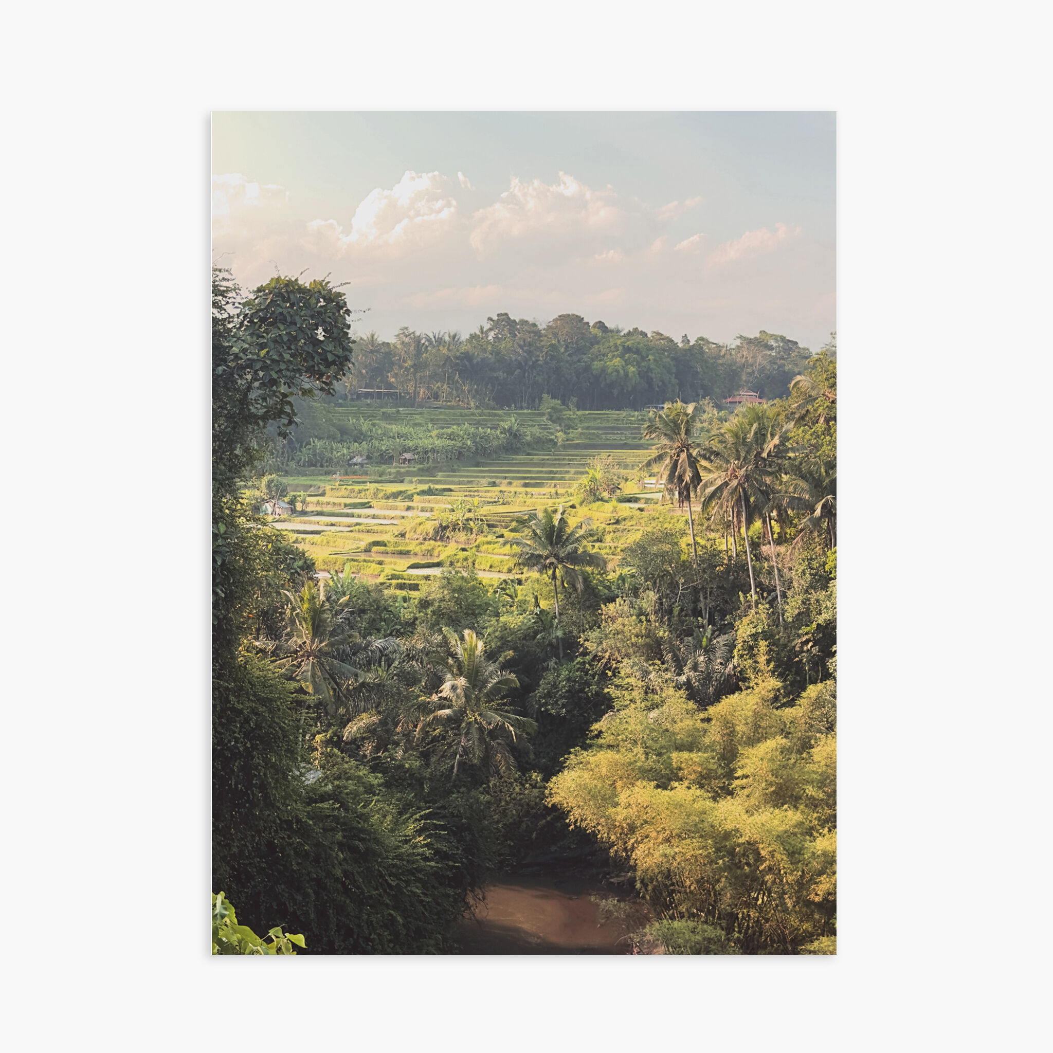 POSTER 30X40 CM - Ubud Reisfelder