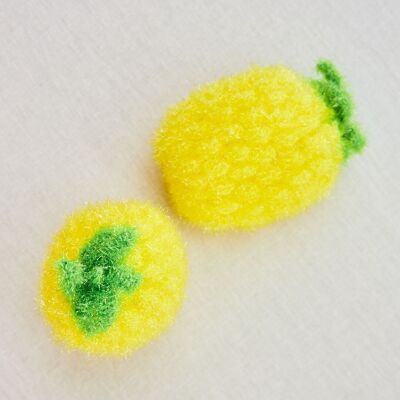 Esponja de piña