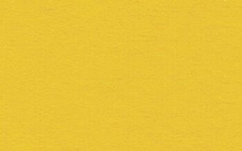 Carton photo, 50 x 70 cm, jaune maïs 3