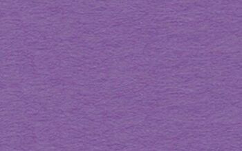 Carton photo, 50 x 70 cm, violet 3