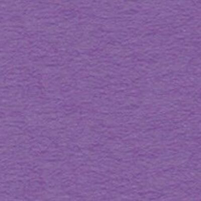 Carton photo, 50 x 70 cm, violet