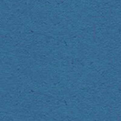 Carton photo, 50 x 70 cm, bleu moyen