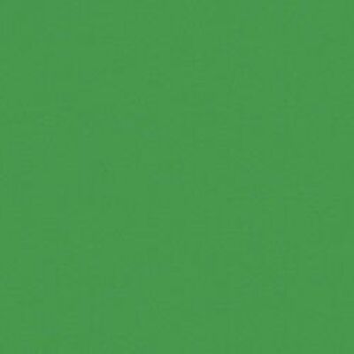 Cartoncino fotografico, 50 x 70 cm, verde abete