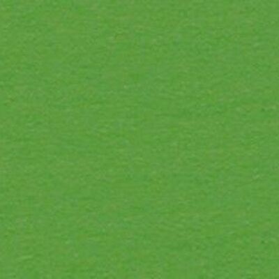 Photo cardboard, 50 x 70 cm, lime green