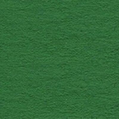 Cartoncino fotografico, 50 x 70 cm, verde scuro