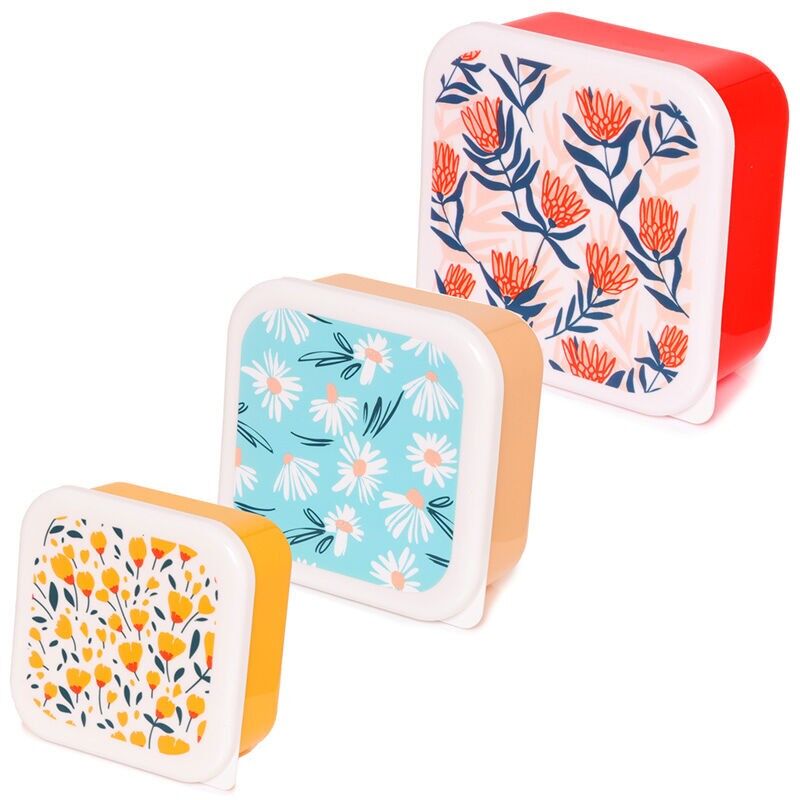 Set of 3 Lunch Box S/M/L Daisy Lane, Protea, Buttercup Pick of the Bunch