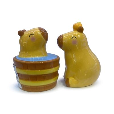 Set di sale e pepe in ceramica Capybara