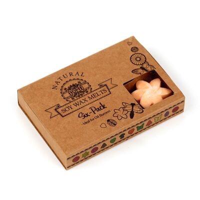 Lot de 6 fondants de cire aux fruits de mangue
