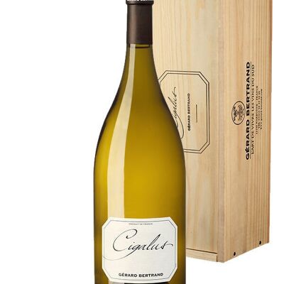 Cigalus Blanc 2020 Magnum con estuche de madera