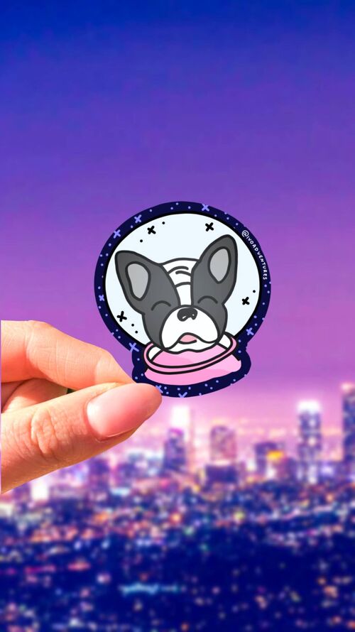 Sticker -  Frenchie Space