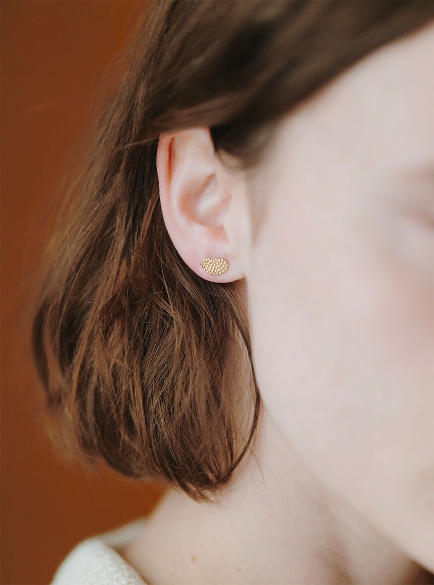 Vestigia delle pulci