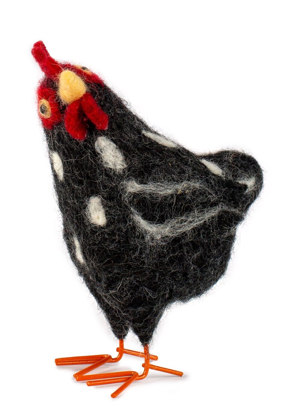 Pollo nero 12 cm VE 6