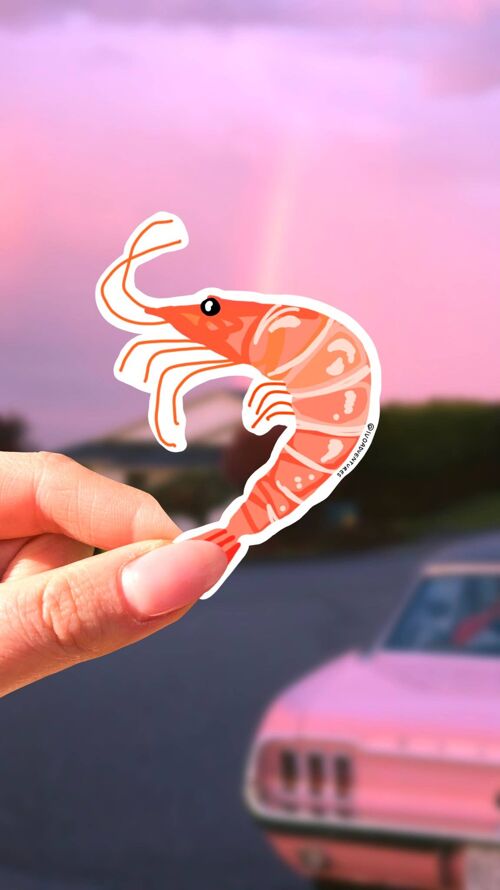 Sticker -  Shrimp