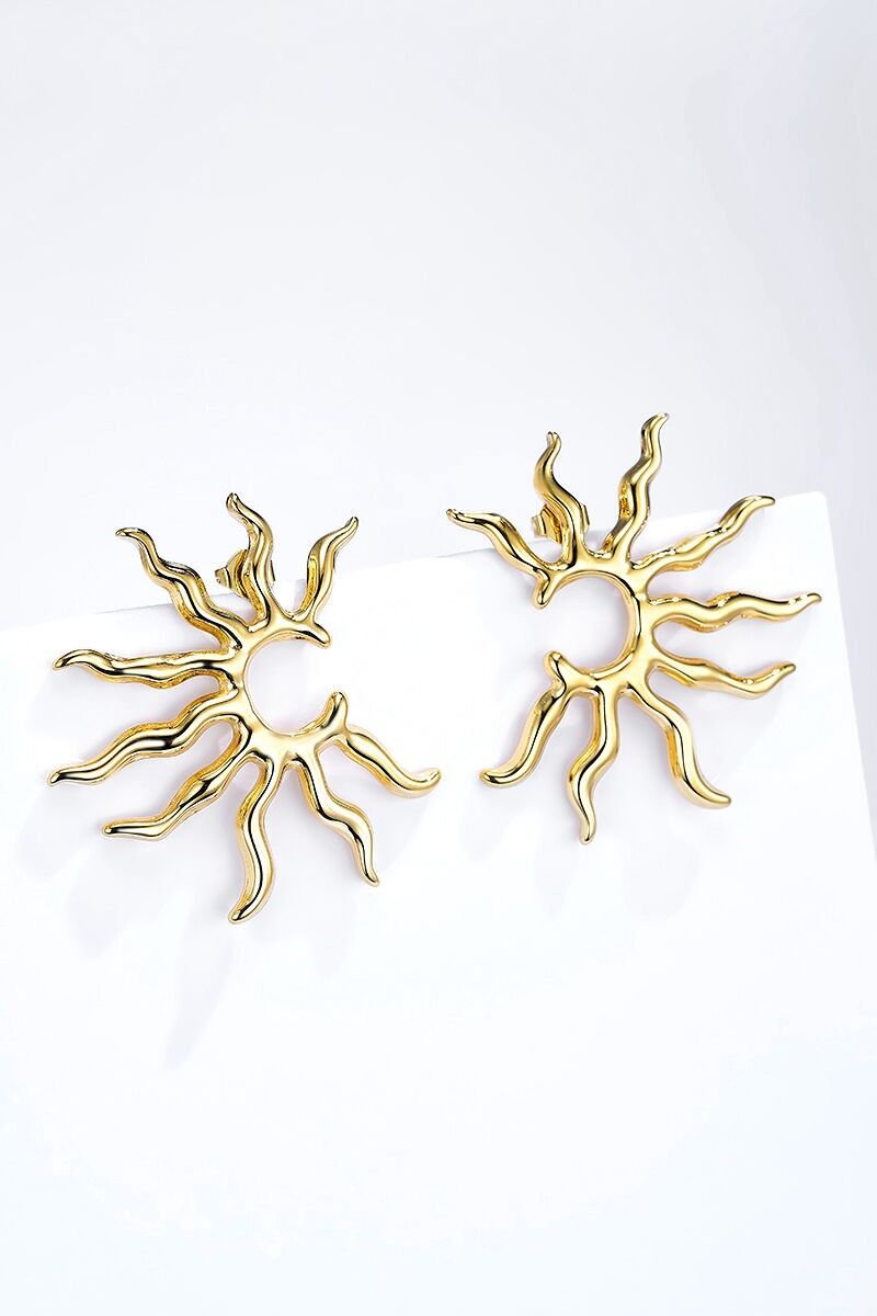 Orecchini in acciaio inossidabile 124AQ386