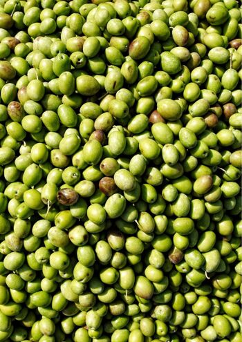Olives vertes Amfissa aux herbes BIO 4