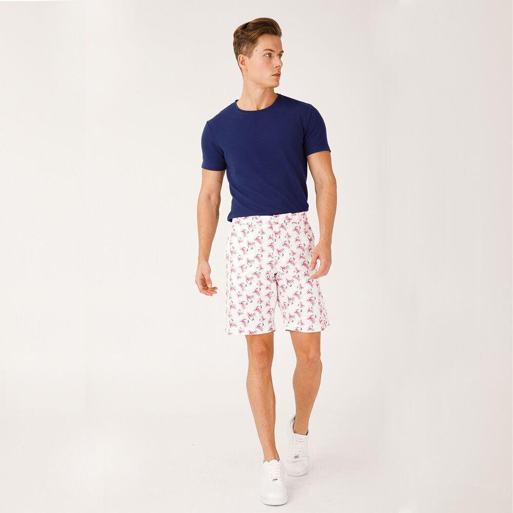 Anemoss Crab Patterned Men's Shorts, L Size