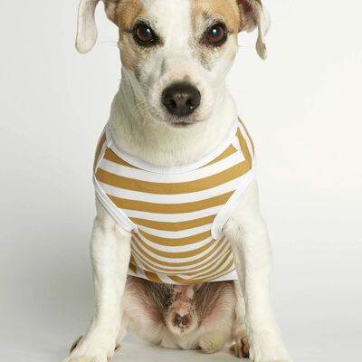 Daniel Yellow Striped Organic Cotton Dog Bodysuit Vest