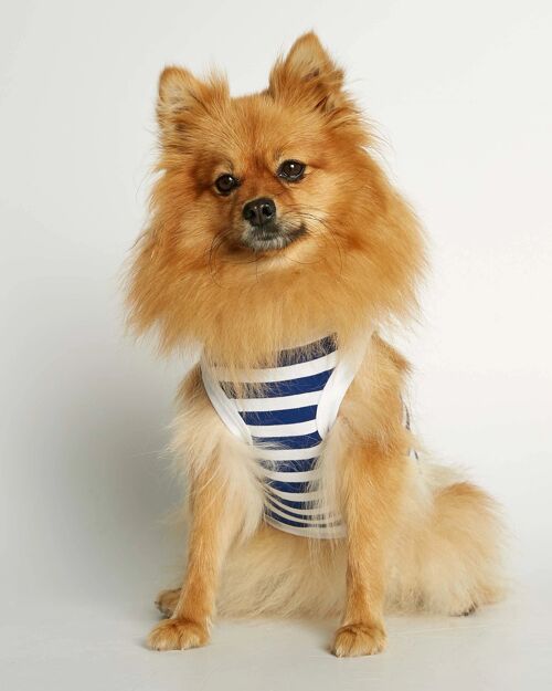Daniel Deep Blue Striped Organic Cotton Dog Bodysuit Vest