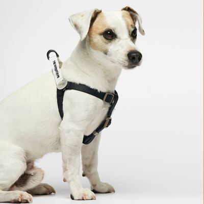 Dog Harness Sonia - Navy and White