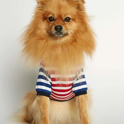 Camiseta Perro David Rojo y Azul Profundo Algodón Orgánico