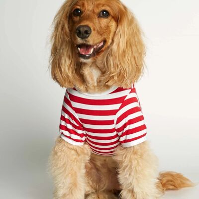 T-shirt pour chien en coton bio rouge David