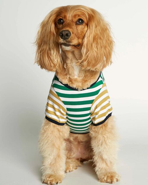 David Green and Yellow Organic Cotton Dog T-shirt