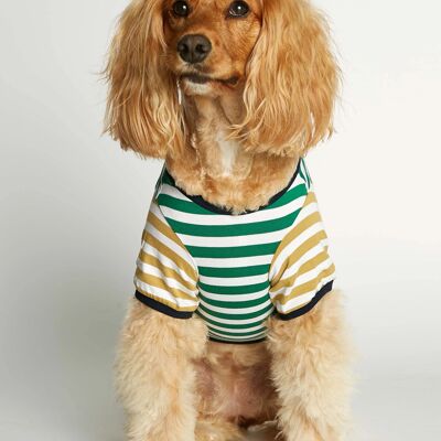 T-shirt pour chien en coton bio vert et jaune David