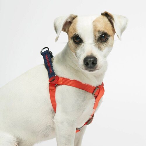 Sonia Navy & Orange Dog Harness