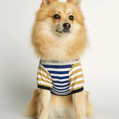 T-shirt pour chien en coton bio bleu et jaune David