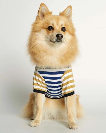 T-shirt pour chien en coton bio bleu et jaune David 1