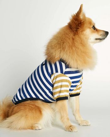 T-shirt pour chien en coton bio bleu et jaune David 2