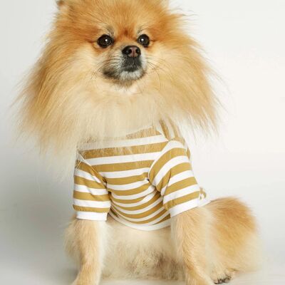 T-shirt per cani David Yellow in cotone biologico