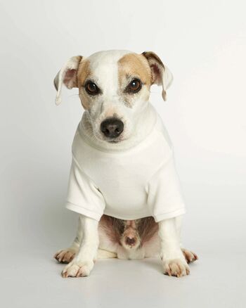 T-shirt basique pour chien Eva en coton bio blanc 1