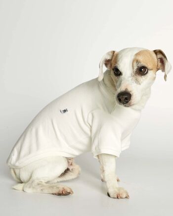 T-shirt basique pour chien Eva en coton bio blanc 2